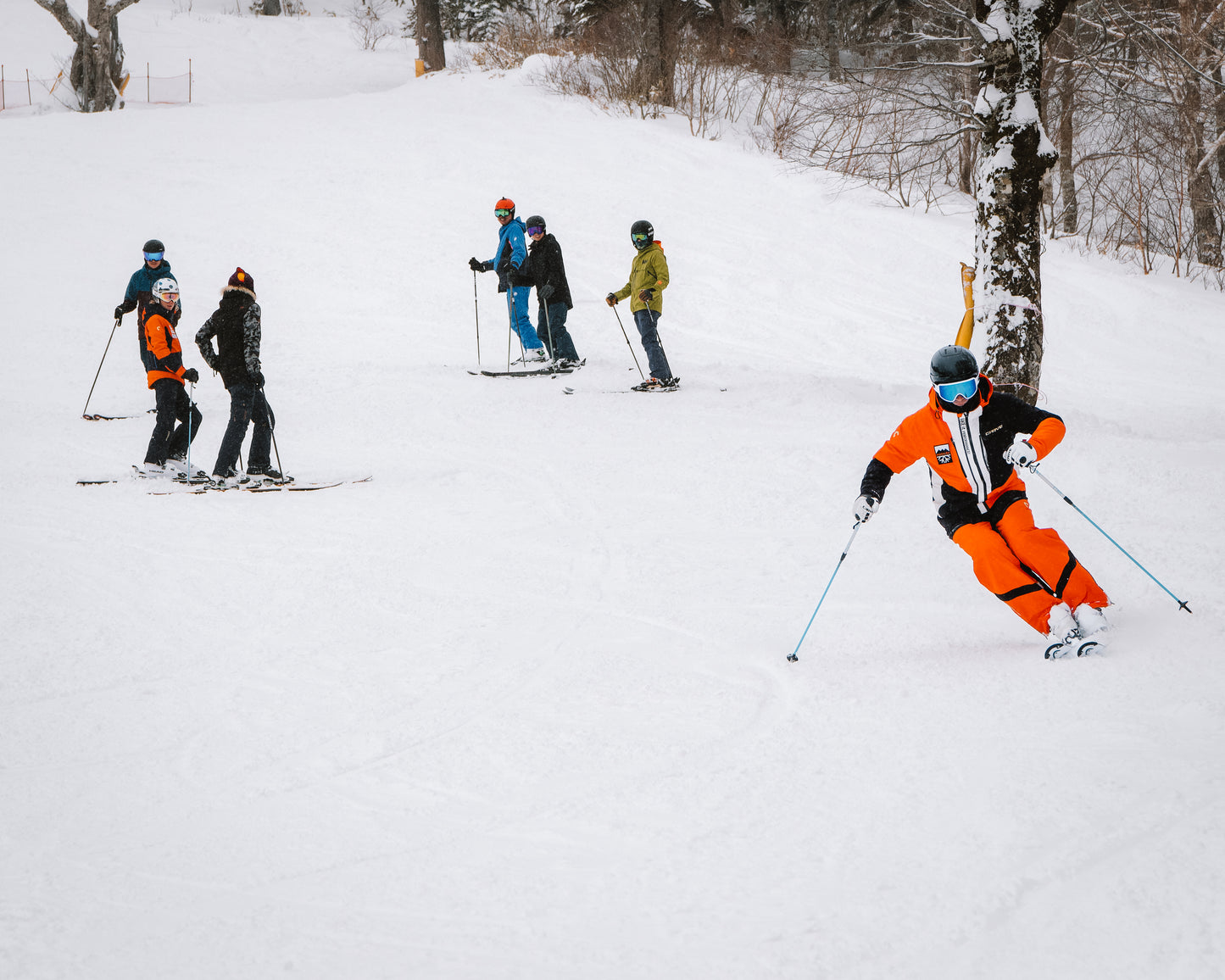 Japan: 12 day, Level 2 Instructor training course - With PSIE Level 2 exam, Kamui Ski Links
