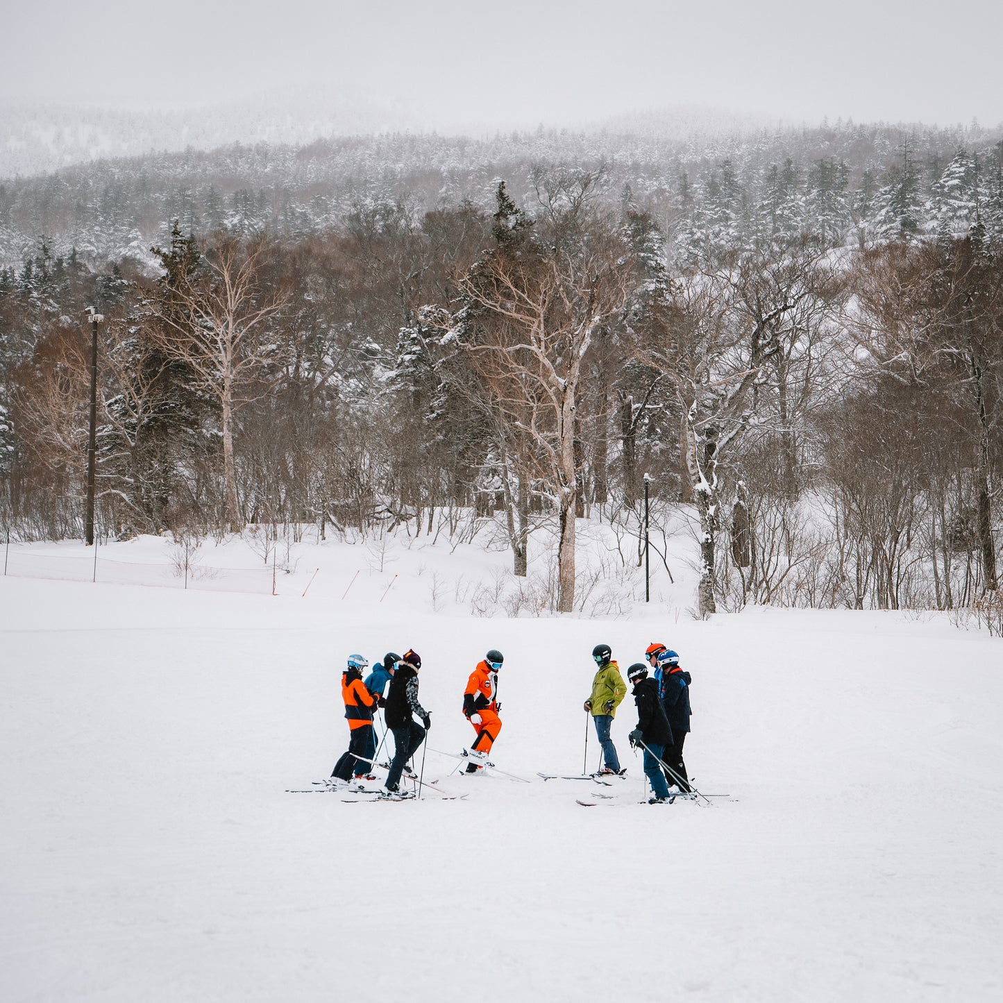 Japan: Job Ready Camp