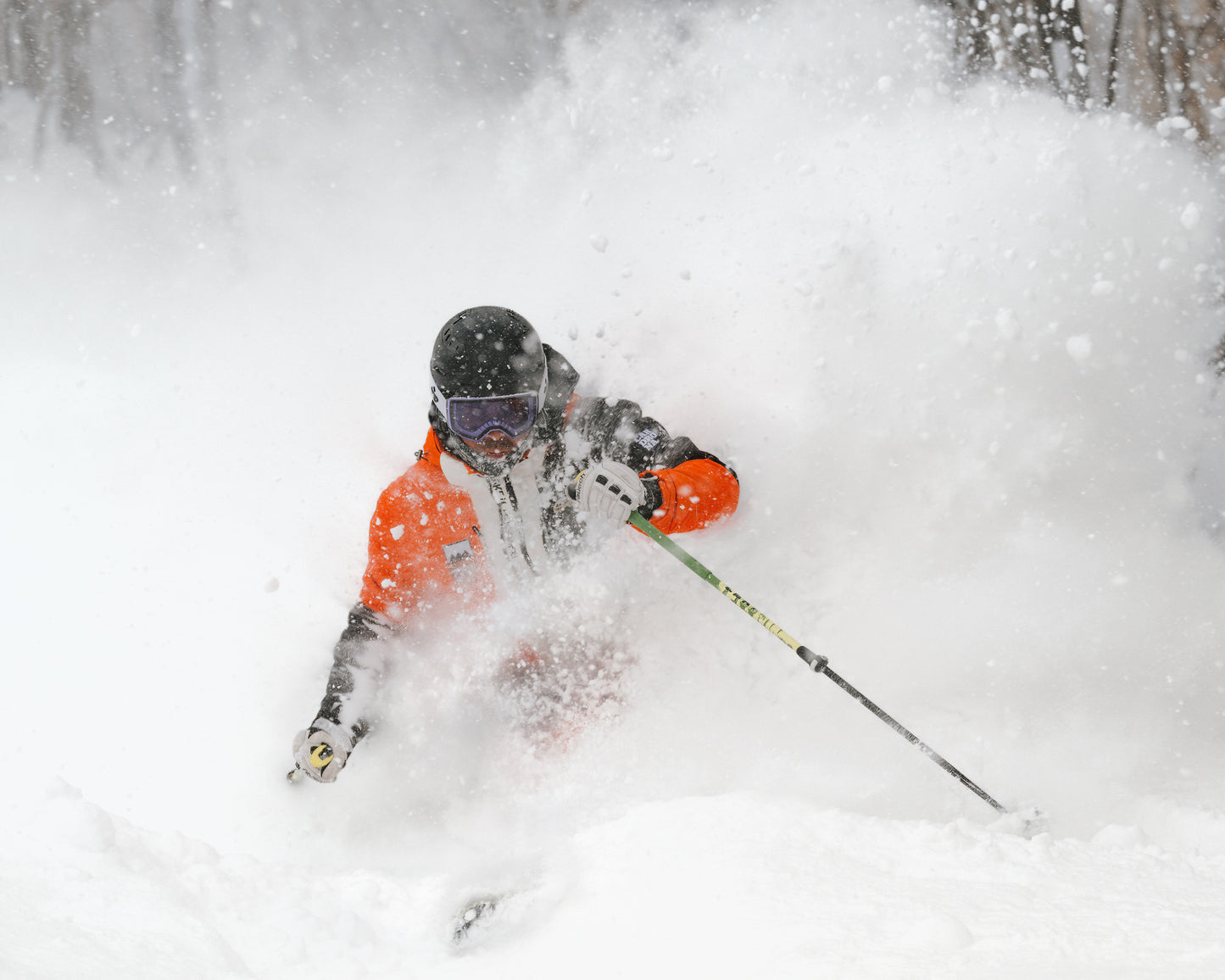 Japan: 12 day, Chinese Instructor training course with PSIE Level 2 exam, Asarigawa Resort