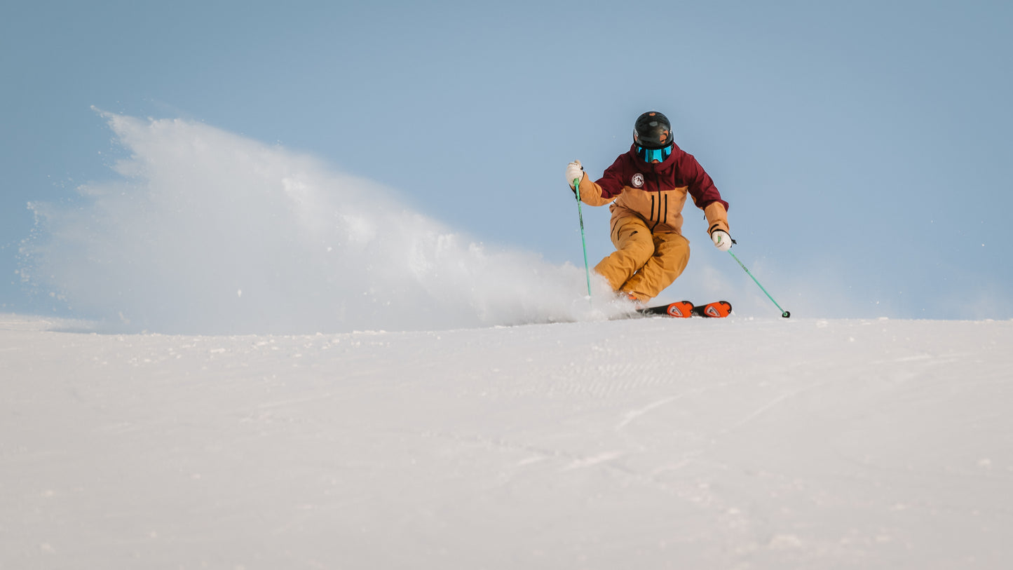 Japan: 5 day, PSIE/PSIC Licensed Professional Trainer Pathway (LPT)