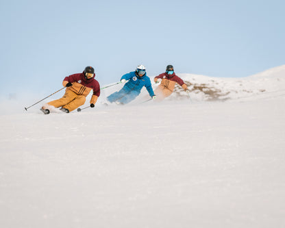 Japan: PSIE Level 3 Evaluation, Rusutsu Resort