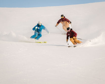 Japan: 12 day, Chinese Instructor training course with PSIE Level 2 exam, Asarigawa Resort