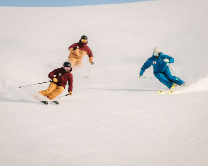 Japan: 6-Day PSIE  Level 2 – Evaluation only