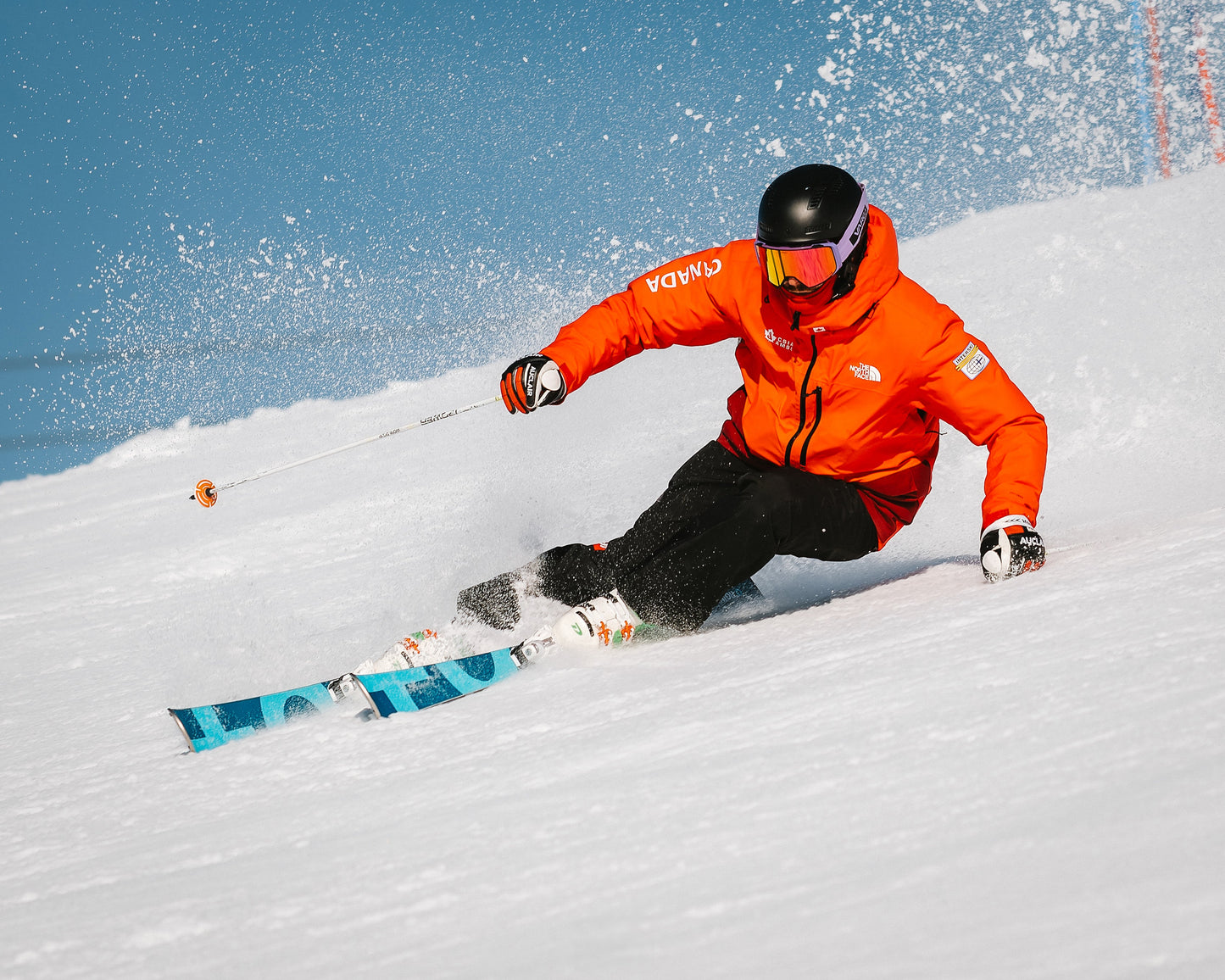NZ: 5-Week CSIA Level 3 Course: With Lead Trainer Lucia Glasse-Davies