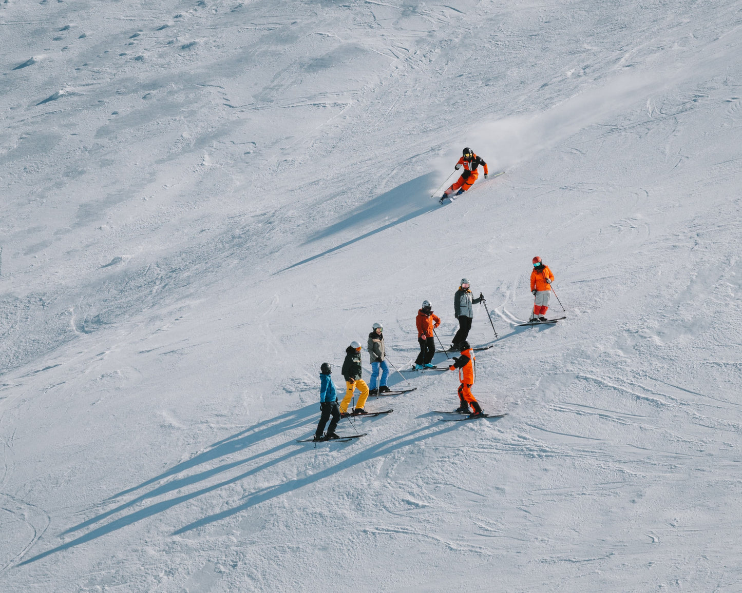 NZ: 5-Week CSIA Level 3 Course: With Lead Trainer Lucia Glasse-Davies