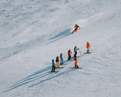 NZ: 5-Week CSIA Level 3 Course: With Lead Trainer Lucia Glasse-Davies